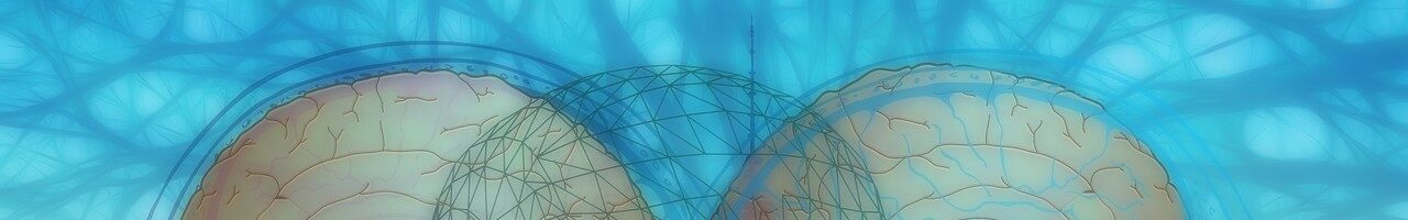 Les domaines de la psychanalyse entre corpus théorique, anthropologie, et pratique thérapeutique