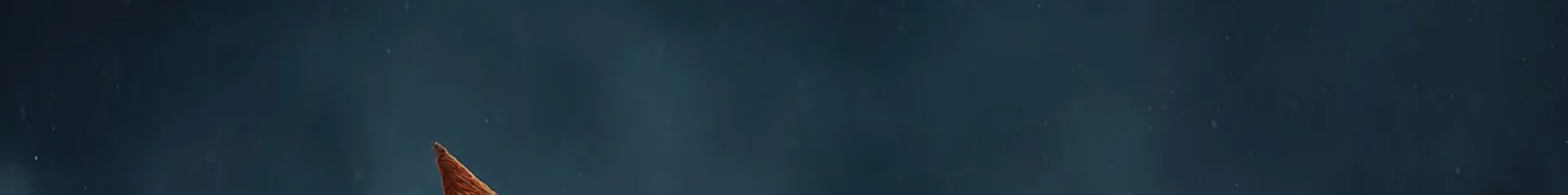 L’angoisse d’inconsistance : une clinique de la fragilité
  