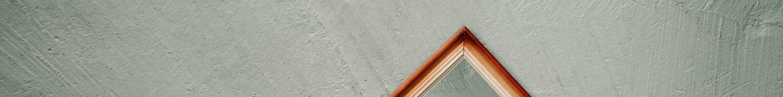 Neuropsychanalyse : dialogues entre inconscient et cerveau vivant
  