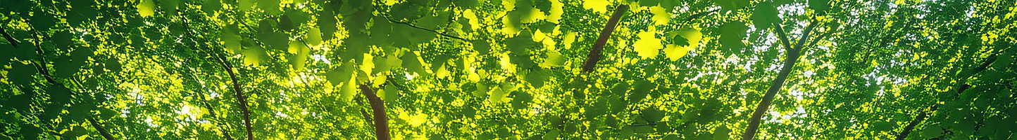 La Maïeusthésie : une clinique de la naissance à soi
  